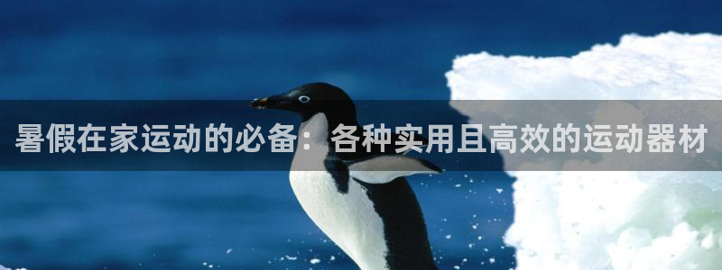 球客岛官方正版app集团：暑假在家运动的必备：各种实