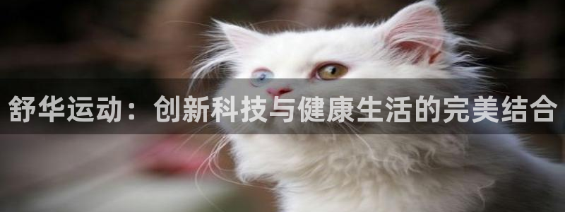 球客岛官方正版app开户：舒华运动：创新科技与健康生