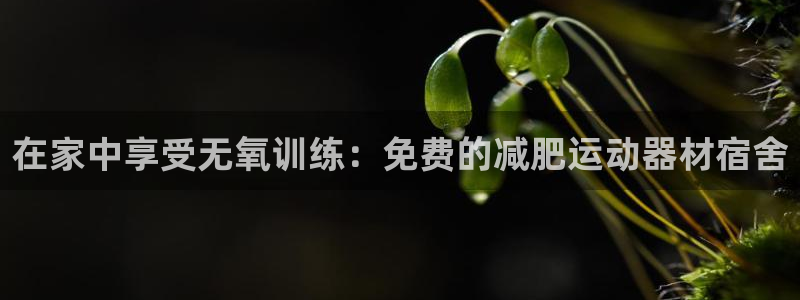 球客岛官方正版app开户：在家中享受无氧训练：免费的