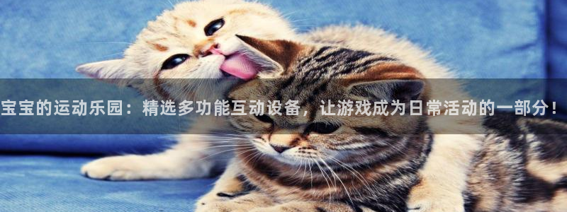 球客岛官网下载招商电话地址：宝宝的运动乐园：精选多功能互动设
