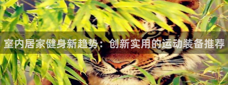 球客岛官网下载官方客服电话：室内居家健身新趋势：创新实用的运