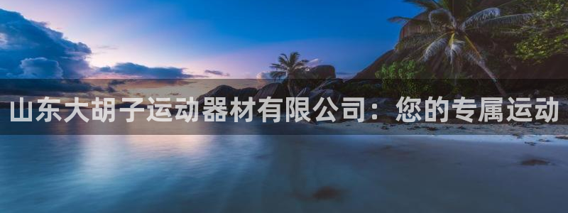 球客岛官网下载：山东大胡子运动器材有限公司：您的专属运动