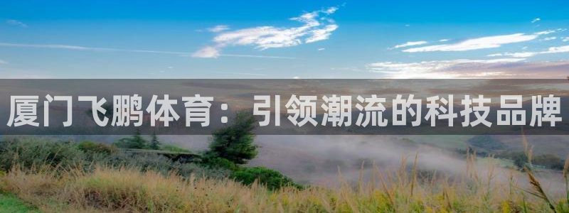 球客岛官网下载招商电话是多少：厦门飞鹏体育：引领潮流的科技品