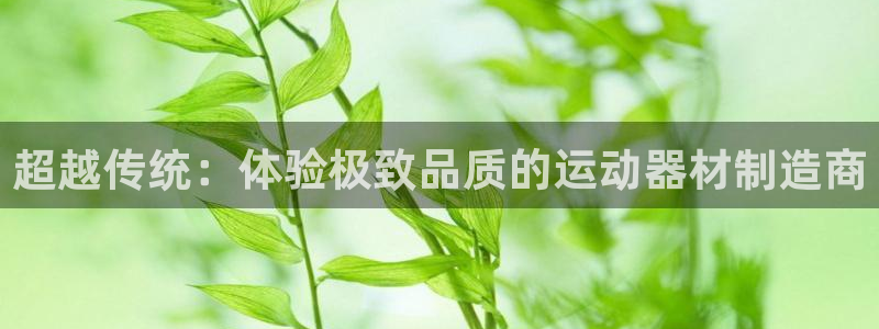 球客岛官网下载招商电话号码查询是多少：超越传统：体验极致品质