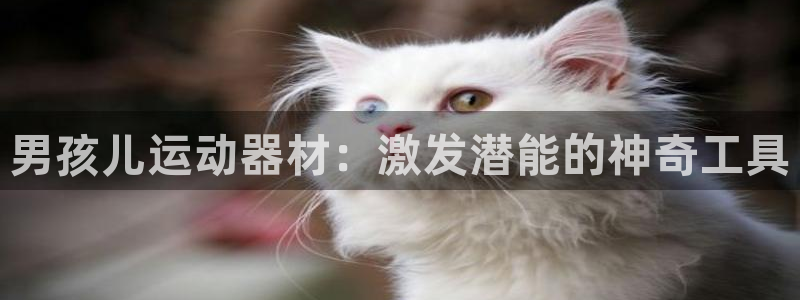 球客岛官网下载平台注册：男孩儿运动器材：激发潜能的神奇工具
