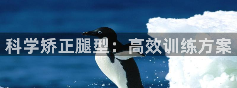 球客岛官网下载招商电话号码查询：科学矫正腿型：高效训练方案