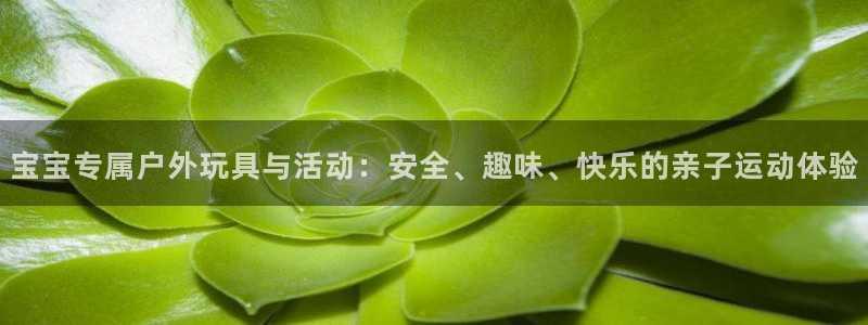 球客岛官网下载是干嘛的公司：宝宝专属户外玩具与活动：安全、趣