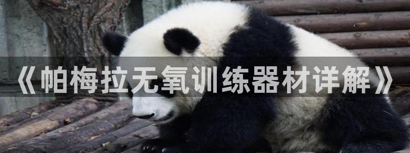 球客岛官网下载软件：《帕梅拉无氧训练器材详解》