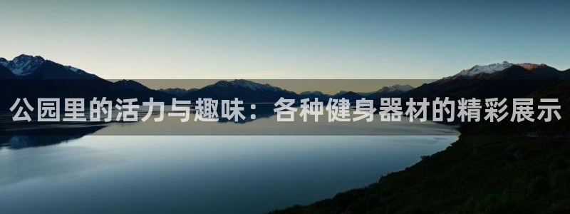 球客岛官网下载招商电话地址：公园里的活力与趣味：各种健身器材