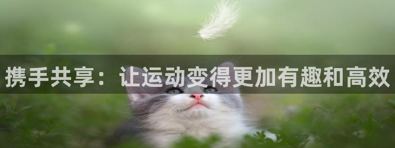 球客岛官方正版app集团官网网址