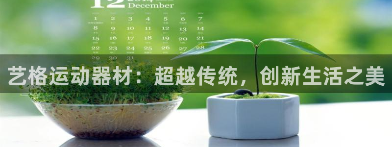 球客岛官方正版app科技：艺格运动器材：超越传统，创新生活之