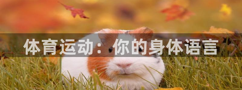 谈球吧体育官网：体育运动：你的身体语言