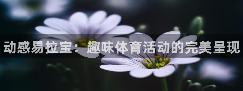 谈球吧：动感易拉宝：趣味体育活动的完美呈现