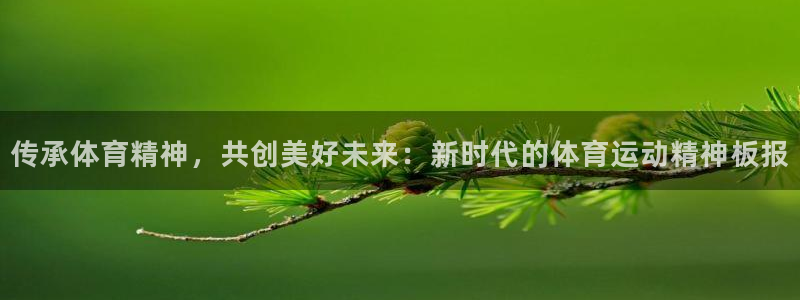 谈球吧：传承体育精神，共创美好未来：新时代的体育运动精神板报