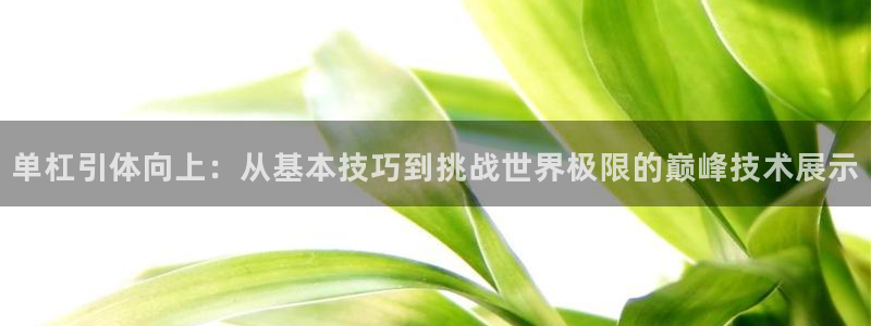 谈球吧体育官网：单杠引体向上：从基本技巧到挑战世界极限的巅峰技术展示