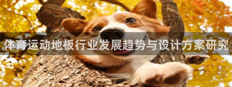 谈球吧：体育运动地板行业发展趋势与设计方案研究