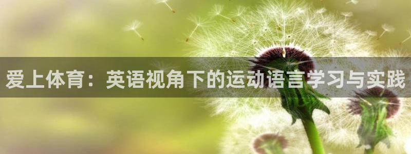 谈球吧体育：爱上体育：英语视角下的运动语言学习与实践
