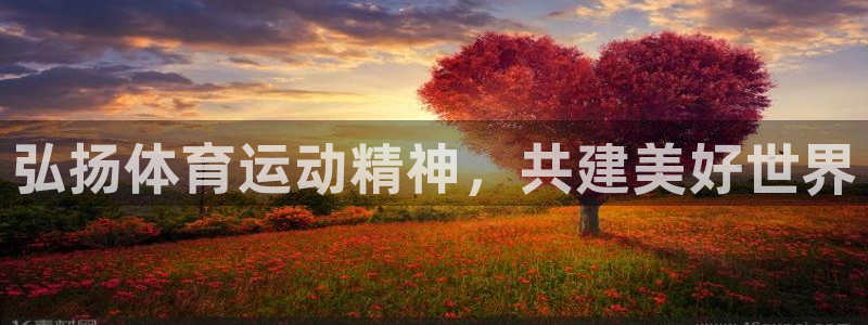谈球吧体育官网：弘扬体育运动精神，共建美好世界