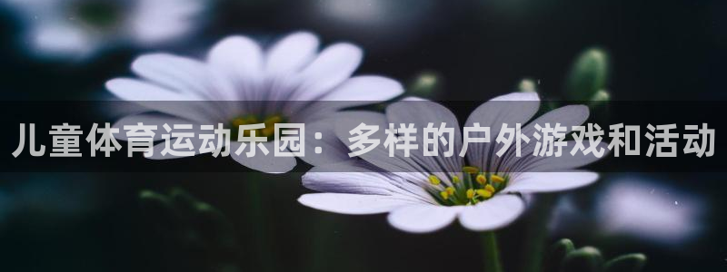 谈球吧体育：儿童体育运动乐园：多样的户外游戏和活动