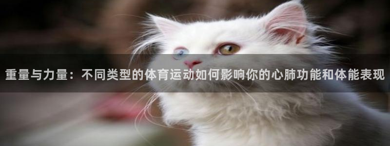 谈球吧：重量与力量：不同类型的体育运动如何影响你的心肺功能和体能表现
