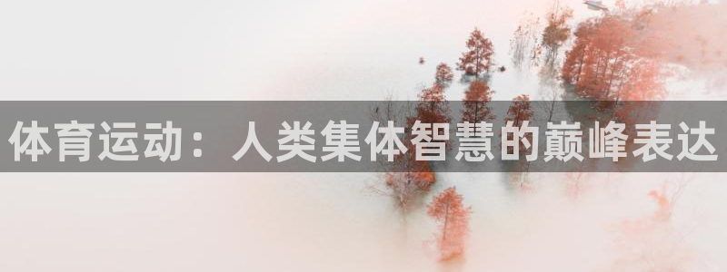 谈球吧体育官网：体育运动：人类集体智慧的巅峰表达
