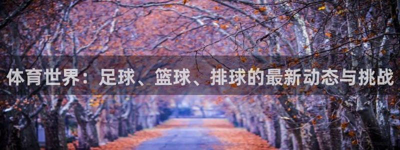 谈球吧：体育世界：足球、篮球、排球的最新动态与挑战